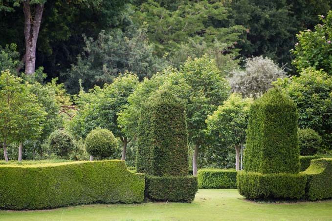 Le jardin du Plessis Sasnières © Laurence Mary