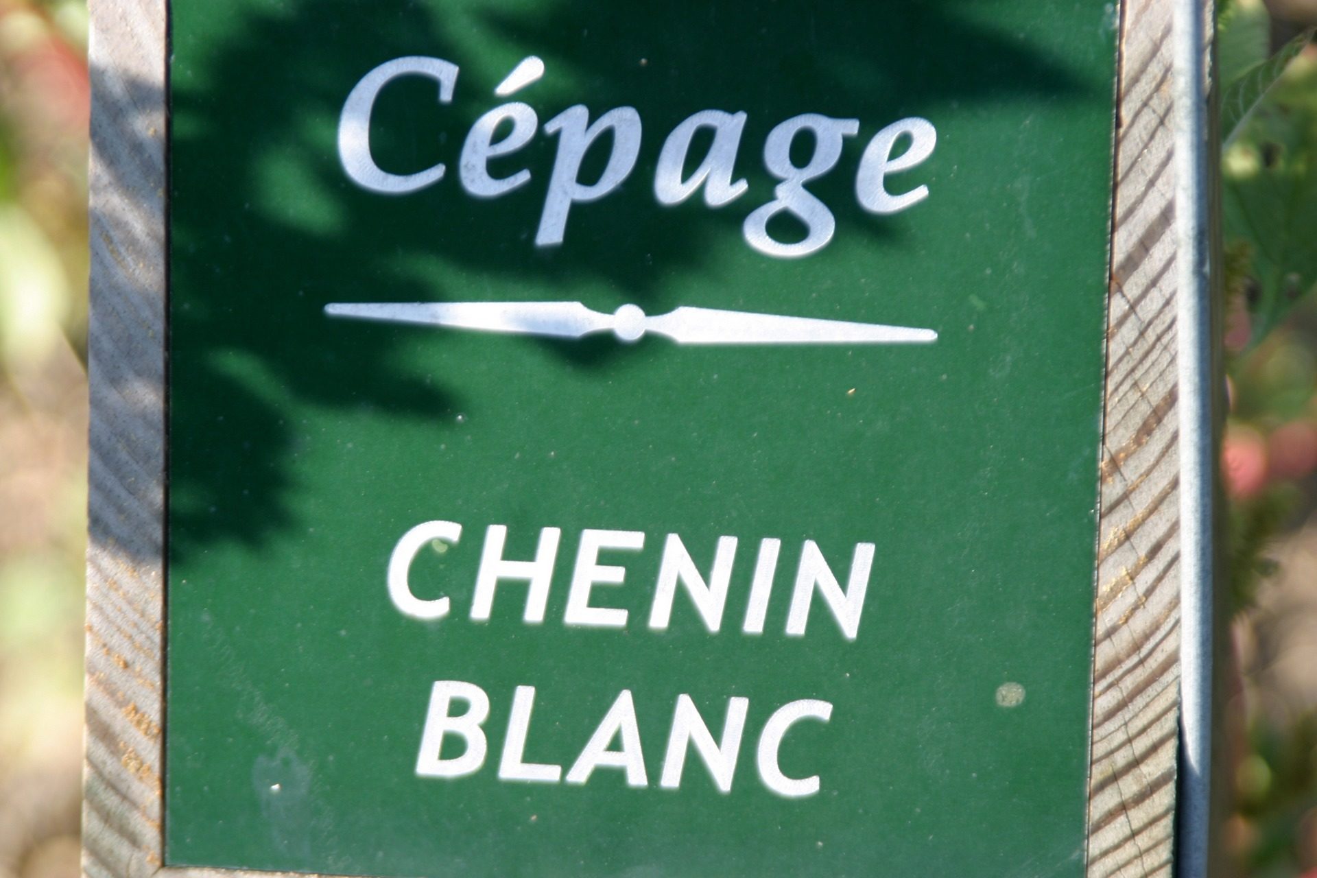 le chenin cepage vendome
