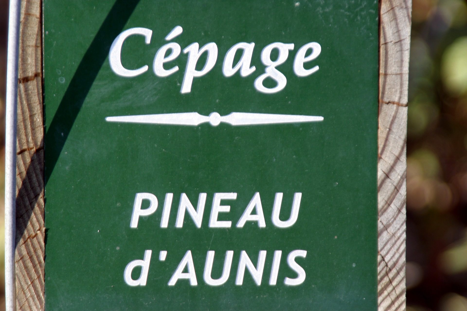 Pineau d'aunis - Vendôme