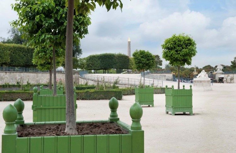 Caisses à orangers / REI - Les jardins du roi soileil