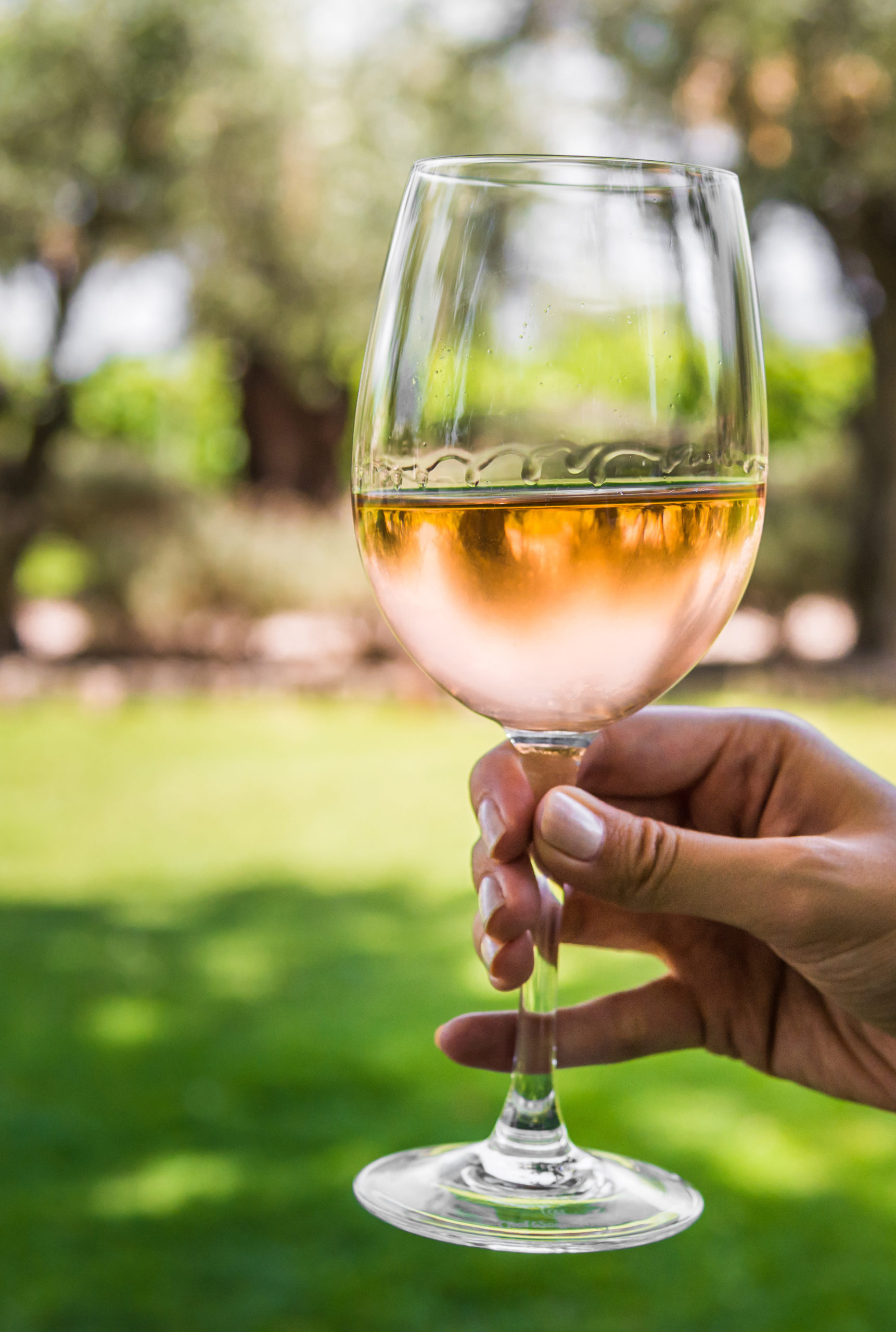 Marque Vendôme sélection de vins gris 2020 Vendôme ville